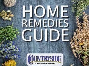 Home Remedies Guide